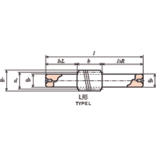 KG ウォーム W1S L1−L モジュール1.0 圧力角20度(並歯) S45C 精密転造仕上 W1S L1-L 1 個