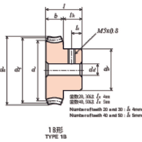 KG Worm Wheel G1C 30+R1 Module 1.0 Pressure angle 20 degrees (straight teeth) G1C 30+R1 1 piece