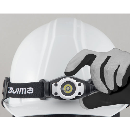 타지마 LED 헤드라이트 F281D 화이트 LE-F281D-W 1개