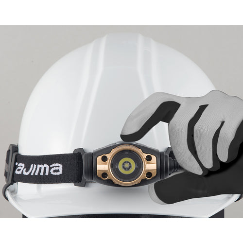 타지마 LED 헤드라이트 F351D 골드 LE-F351D-G 1개