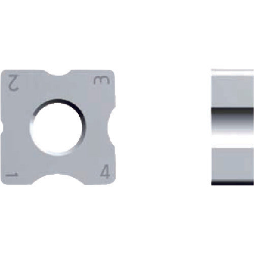 Fujigen Insert NK2020 N43GXR8 12 pieces