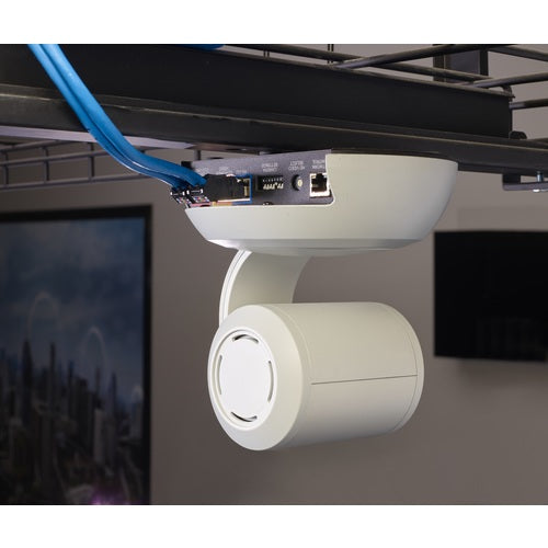 PANDUIT LANコネクタ CAT6A 簡単成端モジュラープラグアングルタイプ FPUD6X88MTG FPUD6X88MTG 1 袋