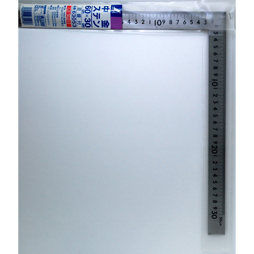 シンワ 中金ステン60×30cm 63053 1 個