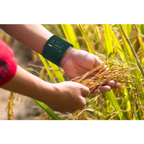 wemo ウェアラブルメモ WEMOバンドタイプ 青 WEMO B-B 1 個