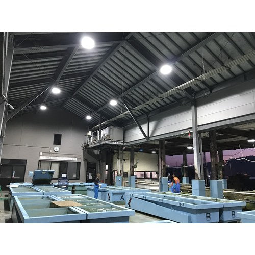 ELI Lamp PL−564TL−CC200W 屋内・屋外用 003043 1 台