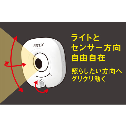 RITEX どこでも目玉センサーライト ASL-018 1 台