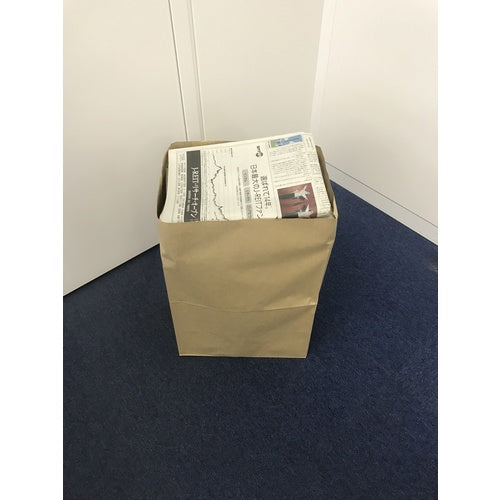TRUSCO Newspaper and Magazine Collection Bags Size 300 x 210 x 440 mm 25 pieces No handles NPBP 1 bag