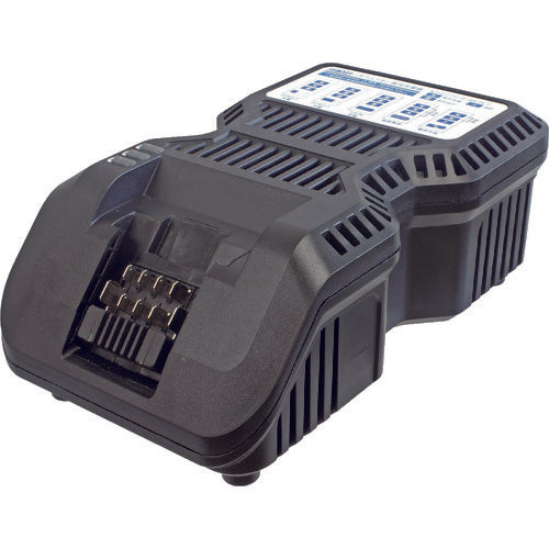 SP Charger SP8190 1 unit