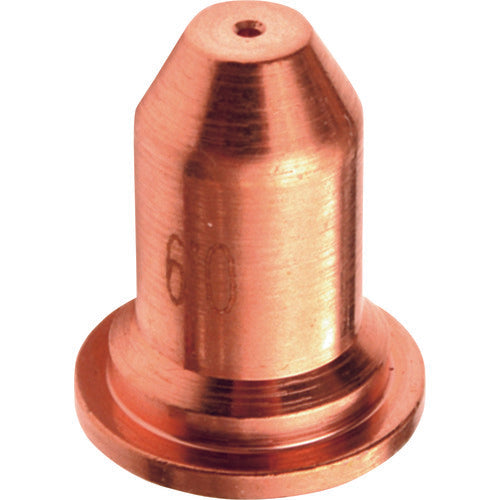 SUZUKID Chip 0.6 10 pieces P-778 1 PK