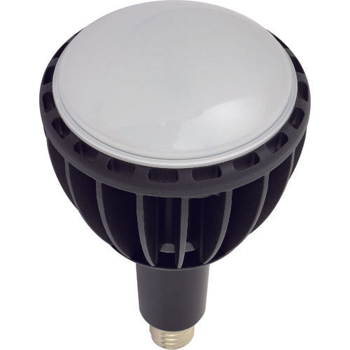 NICHIDO LED交換球 エコビック100W E39 昼白色 ワイド L100W-E39J-WBK-50K 1 個