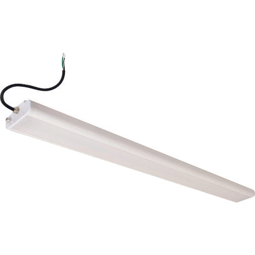 NICHIDO LED 베이스 라이트 50W 40형 2등 상당 방우형 베이스 7210Lm 옥외형 BSL-50W-50K 1대