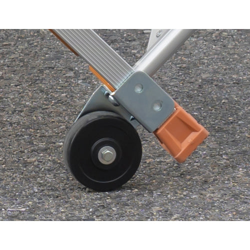 PiCa FG Rear and Side Casters FG-HCA 1 S