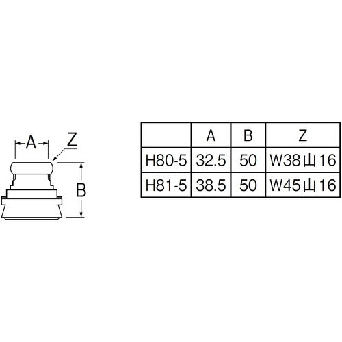 SANEI 大便器スパッド H81-5-38 1 個