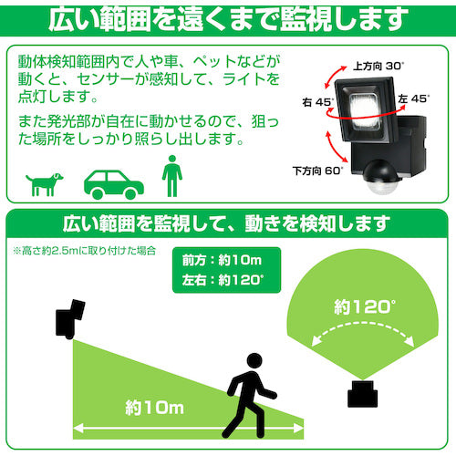 ELPA Solar Sensor Light 1 Light ESL-N111SL 1 pc