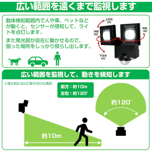 ELPA Solar Sensor Light 2 Lights ESL-N112SL 1 pc