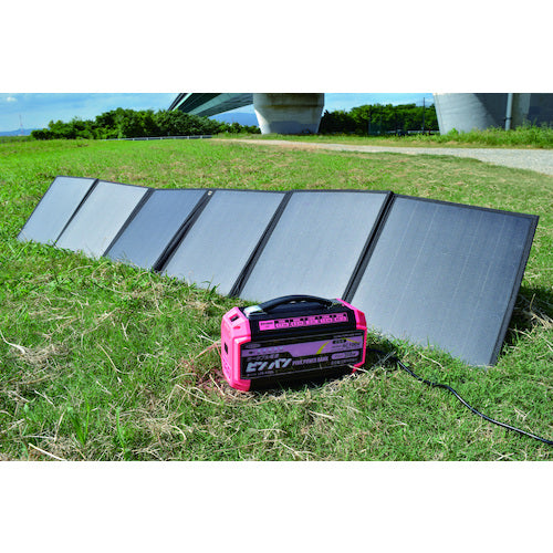 NICHIDO ポータブル電源 ピンバン LPE-R250L 1 台