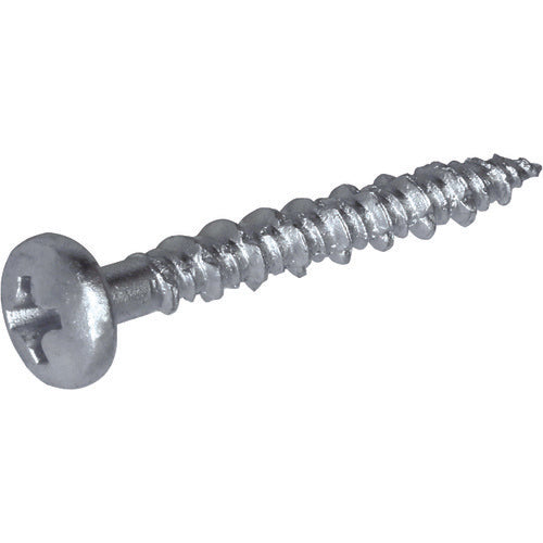 MARVEL Stainless Steel Concrete Screw (Pan Head) SCN-425 1 PK