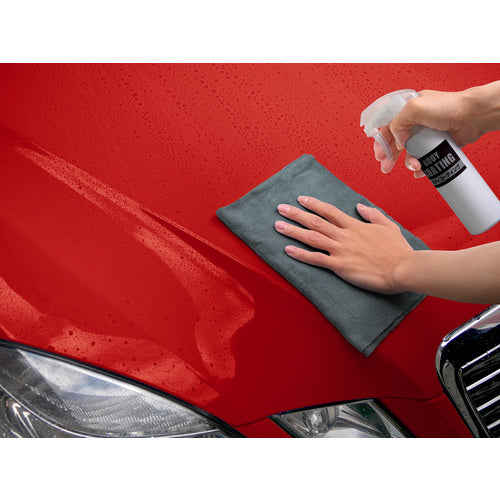 AION プラスセーヌ プレミアム マイクロファイバークロス 917-GY 1 個