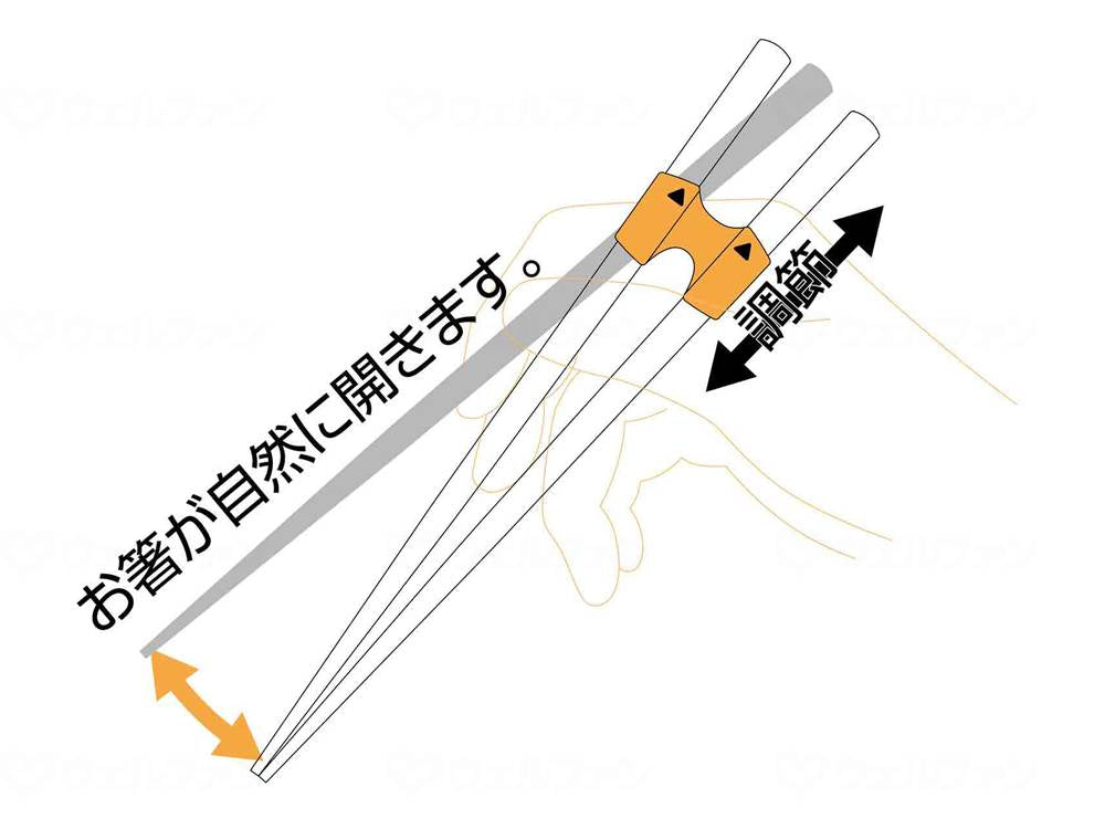 Skater Joint Wooden Chopsticks Basic 23cm