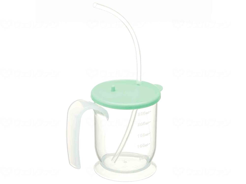 스케이터 스트로코프