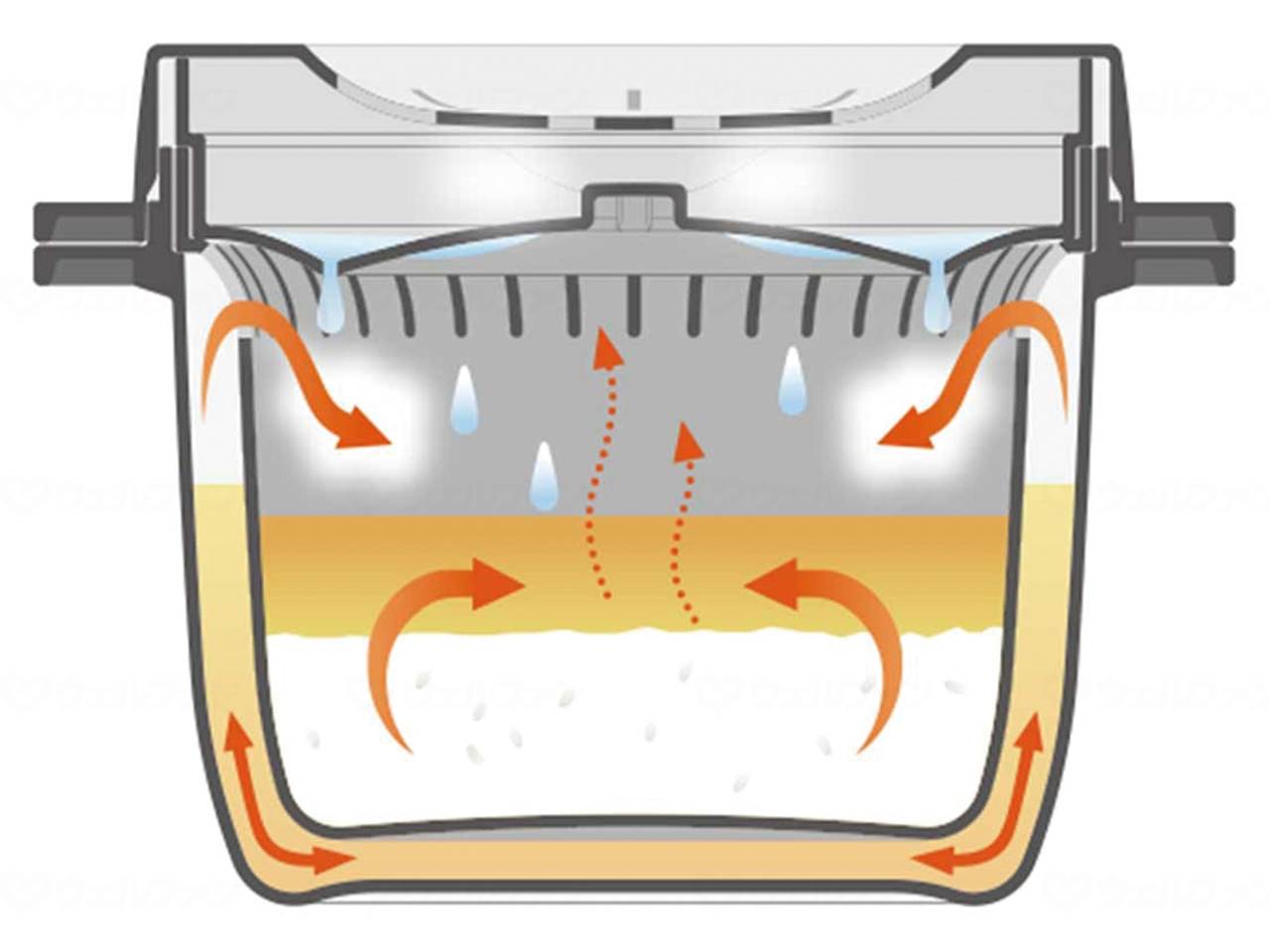 スケーター電子レンジスチームご飯メーカー ホワイト