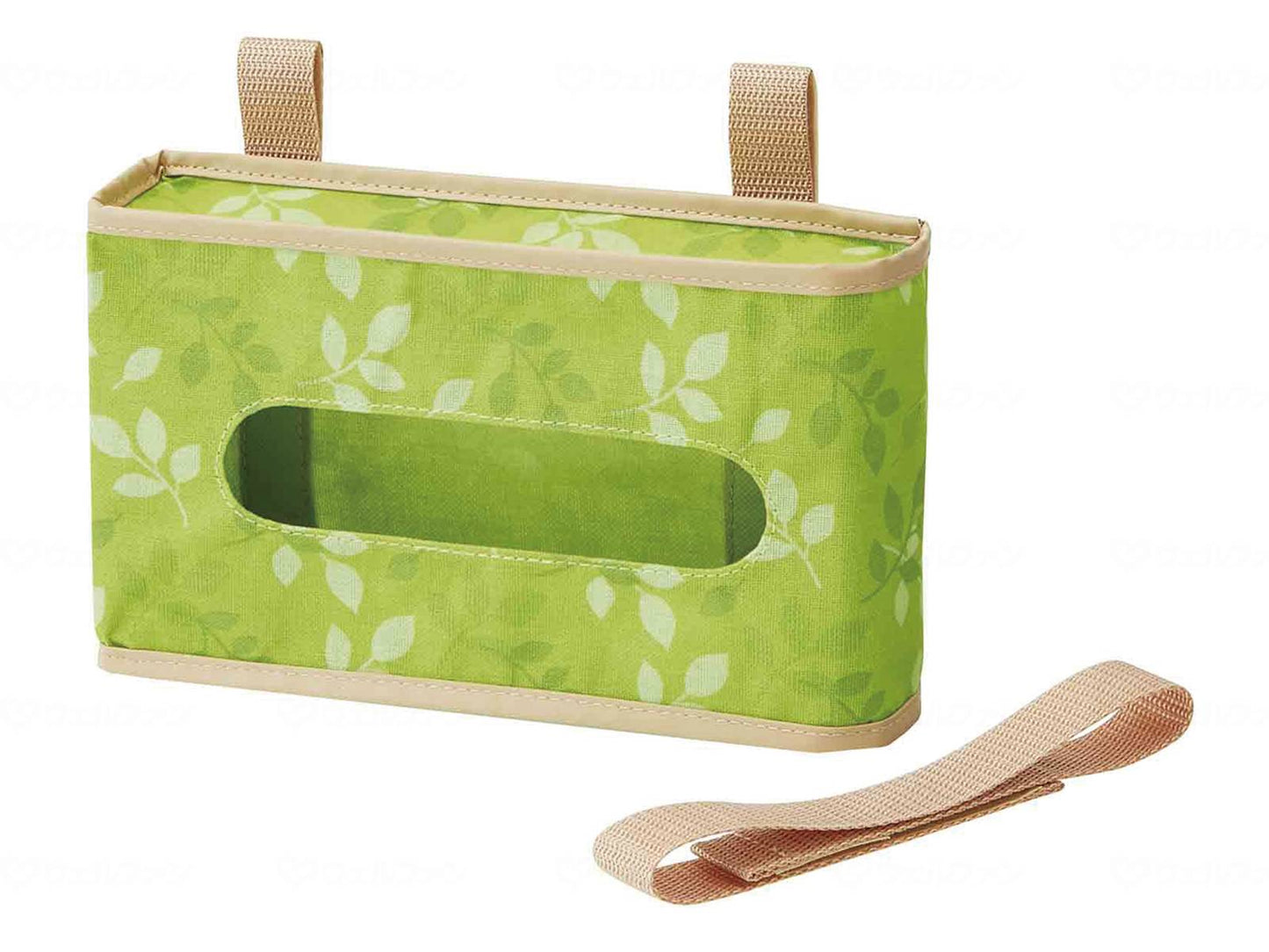 스케이터 테레시뵵쿠스케스 트라데시쇼르치크