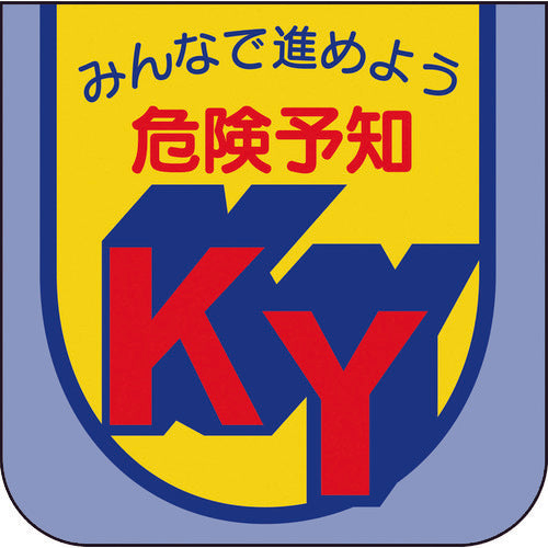 Unit badge Let's all move forward together, danger prediction 849-26A 1 set