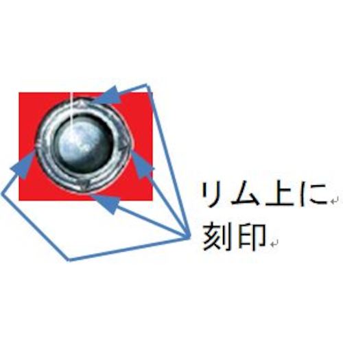 フィッシャー EA2用打ち込み棒(手打ちタイプ) EHS M16×65 Plus用 44635 1 本