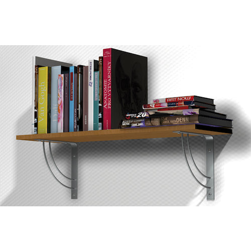 フィッシャー ナイロンプラグ “デュオパワー” 10×50(50本入) 535456 1 箱