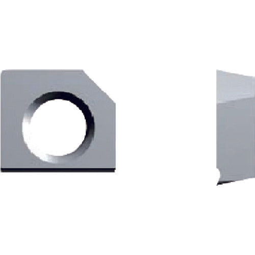 Fujigen Insert AC16N SP-SPET040102 12 pieces