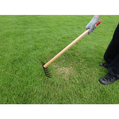GS Lawn Thatch Remover (Small) 4010 1 piece
