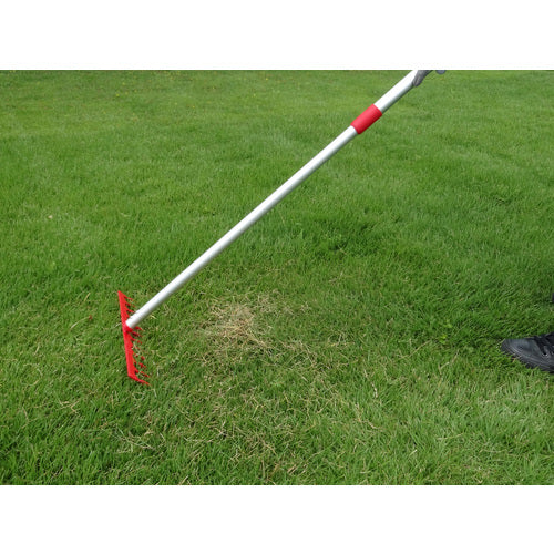 GS Lawn Thatch Removal Rake, Telescopic, 4036, 1 Piece