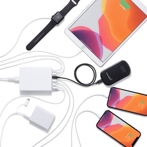 SANWA USB Charger White ACA-IP67W 1 unit