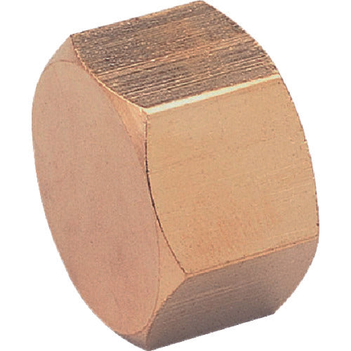 ASOH Hexagonal Cap PT1/4 (RoHS) NC-1002R 1 pc