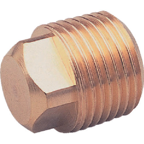 ASOH Square Plug PT1/2 (RoHS) NP-1004R 1 pc