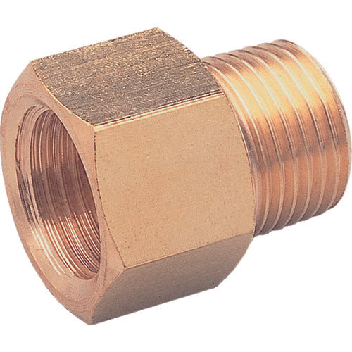 ASOH Internal and External Socket PT3/4 (RoHS) NF-1066R 1 piece