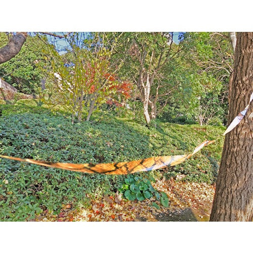 Dio 방조 용품 스네이크 테이프 1Pk=2색들이(뱀 무늬 녹색 1권, 뱀 무늬 오렌지 1권) 262293 1 PK