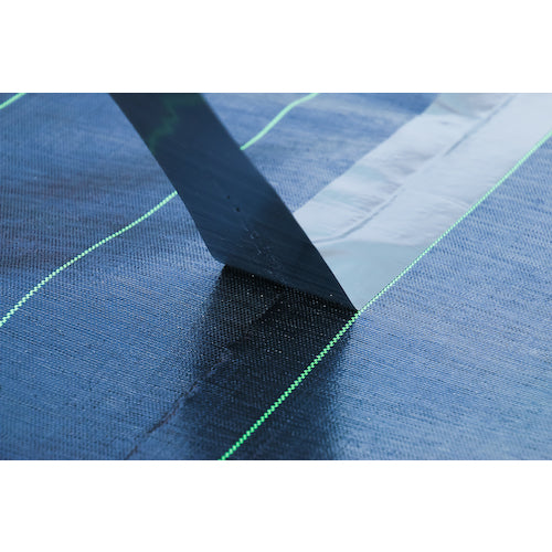 Dio 高密度防草シート用テープ 黒 幅100mm×長さ10m 253307 1 巻