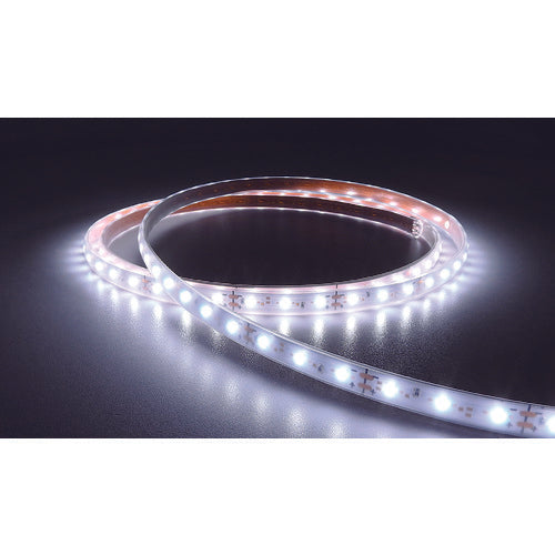 トライト LEDテープライト Viewdi Plus DC24V 16.6mmP 6500K 5m巻 TLVD+652-16.6P-5 1 本