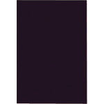 JTX 864381)色画用紙 4ツ切10枚 濃い黒 P144J−19 P144J-19 1 PK