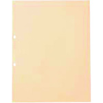 JTX 861276)OPPクリアポケット中紙有2穴10枚 D120J D120J 1 PK