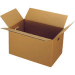 JTX 40091)穴付ダンボール箱 大大10枚 B177J−LL B177J-LL 1 PK