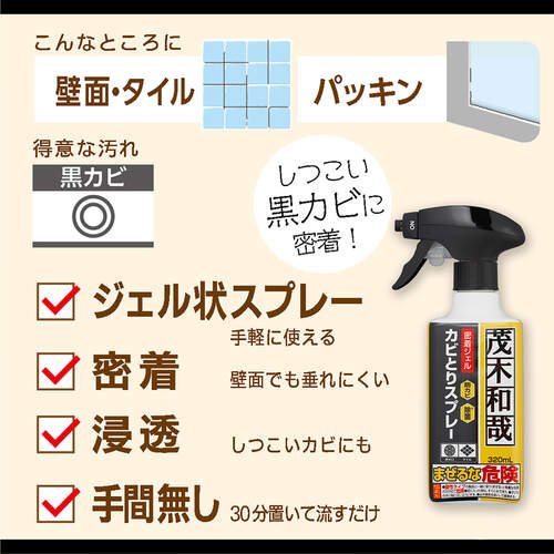 LEC Kazuya Mogi Mold Removal Gel Spray C00404 1 pc