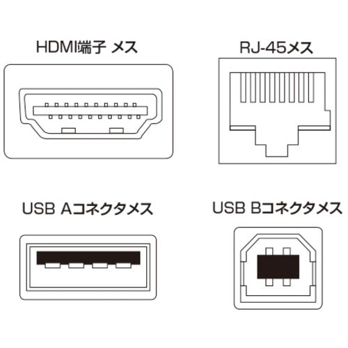 SANWA HDMI + USB 2.0 Extender VGA-EXHDU 1 piece