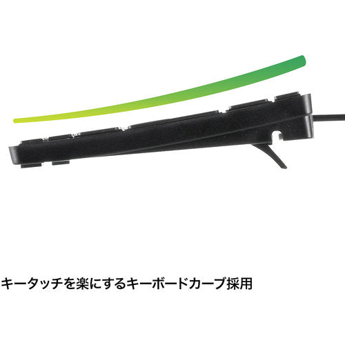 SANWA 静音スリムキーボード SKB-SL20BK 1 個