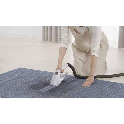 IRIS 573718 リンサークリーナー RNS-300 1 台