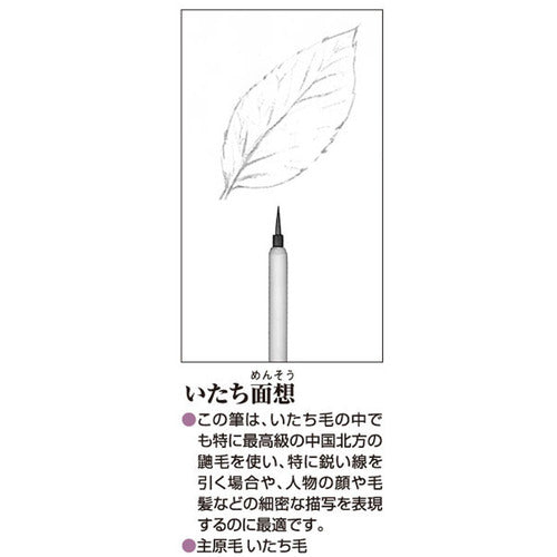 아카시야 브러쉬 면상(대) PN17 1개