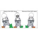 CAILLAU ホースクランプ 取外し用工具 540000205 1 丁