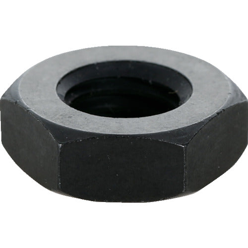 TRUSCO Flat Nut Screw 10mm T10M-JN 1 pc