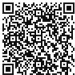 Sanko Easy Iron Car EZI-3025CN 30 pieces